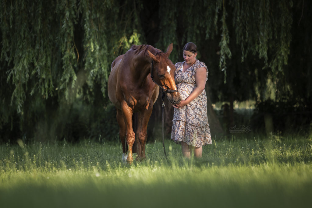Outdoor Portrait von einem Fuchs Warmblut Wallach und seiner schwangeren Reiterin mit Babybauch aufgenommen bei einem Pferdeshooting auf einer Koppel bei Münster (NRW) von der Pferdefotografin Anne Bertling aus Ascheberg im Münsterland, NRW.