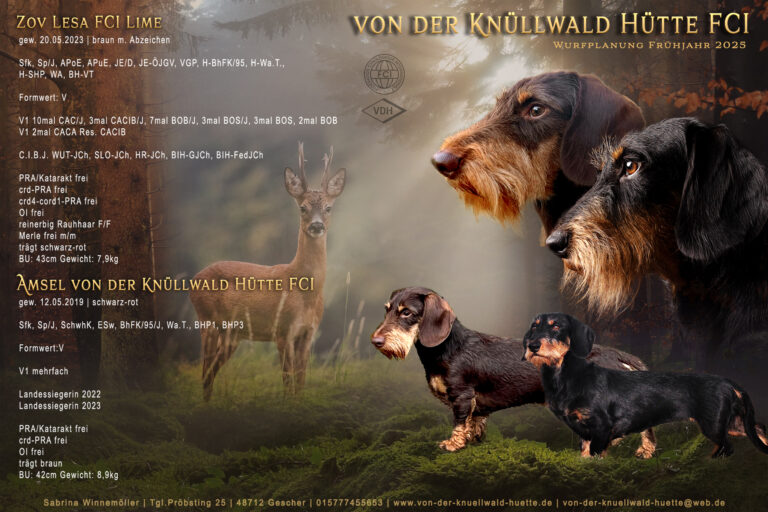 Züchtercollage Wurfankündigung