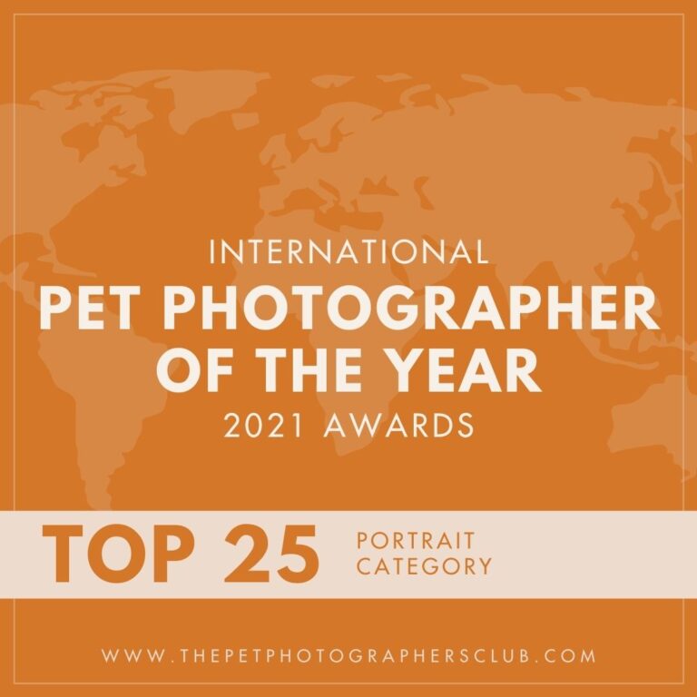 Pet Photographer of the year 2021, Top25 Auszeichnung für Anne Bertling Fotografie aus Ascheberg (Westfalen) bei Münster im Münsterland, NRW