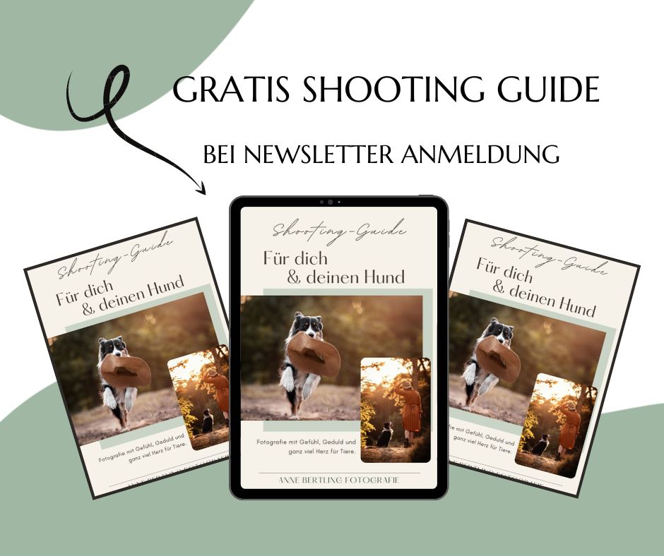 Foto Shooting Guide für dich und deinen Hund - kostenlos bei Newsletter Anmeldung - Anne Bertling Fotografie Münster, Dortmund und Umgebung, auch deutschlandweit
