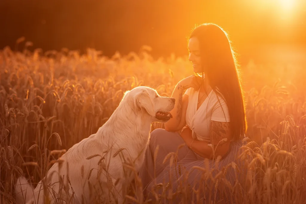 Eine Frau und ihr Golden Retriever sitzen im goldenen Weizenfeld in Hagen in NRW bei untergehender Sonne, sie schauen sich an, fotografiert von der Tierfotografin Anne Bertling aus Ascheberg bei Münster im Münsterland.