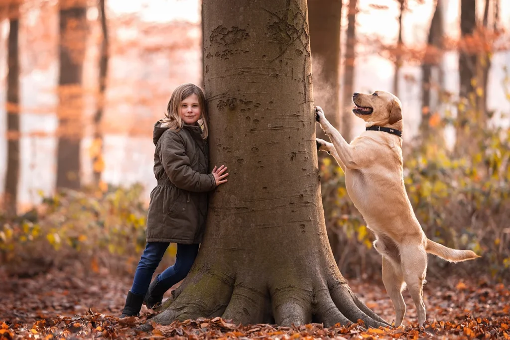 Ein Kind und ein Labrador Retriever lehnen sich je auf eine Seite eines dicken Baums im Herbstwald, beide sind glücklich, fotografiert in Recklinghausen durch die Hundefotografin Anne Bertling in Ascheberg bei Münster im Münsterland.
