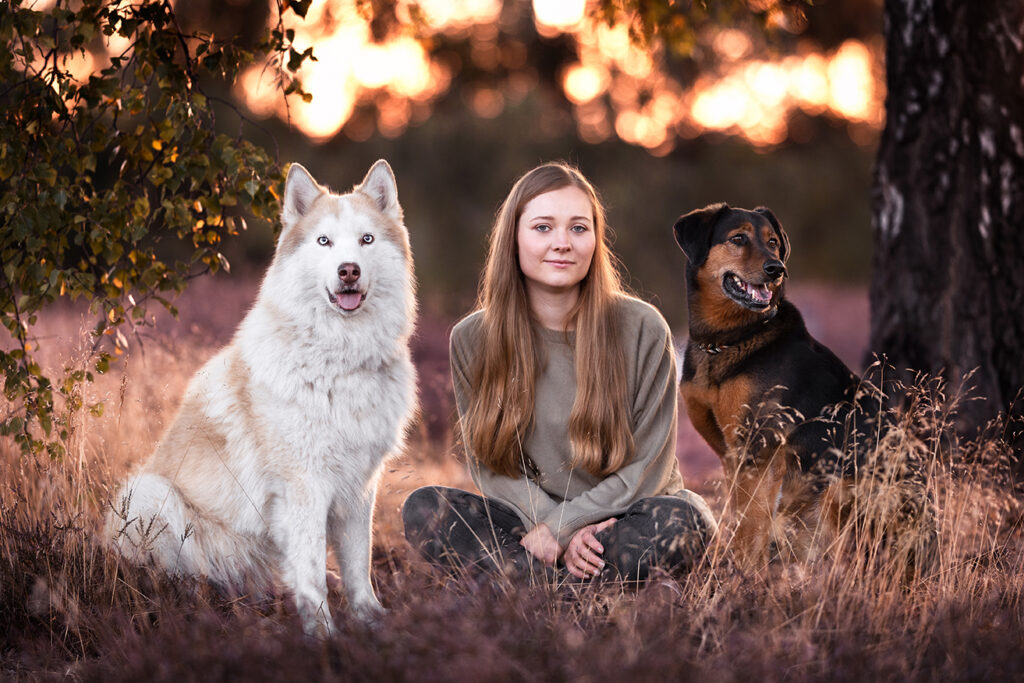 Eine junge Frau sitzt mit ihren beiden Hunden in der blühenden Heide im Sonnenaufgang, alle schauen entspannt, fotografiert von Hundefotografie Anne Bertling aus Ascheberg bei Münster (NRW).