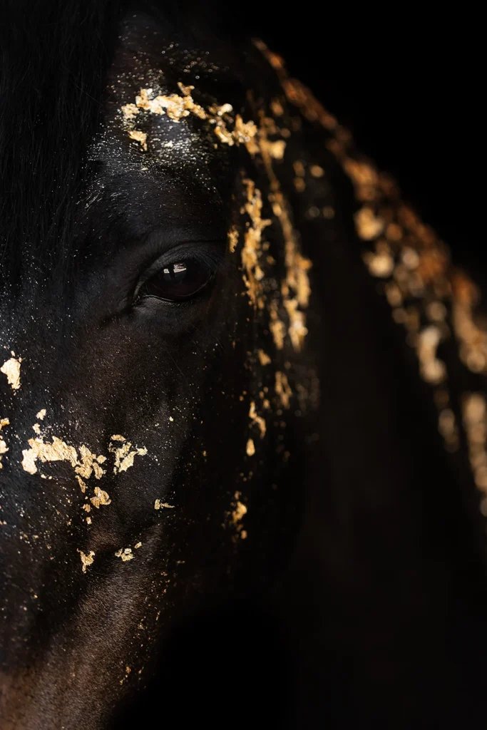 Detailfoto des Auges von einem Endmaßpony mit Blattgold und Glitzer vor schwarzem Hintergund aufgenommen bei einem Pferdeshooting in einer Stallgasse bei Münster (NRW) von der Pferdefotografin Anne Bertling aus Ascheberg im Münsterland, NRW.
