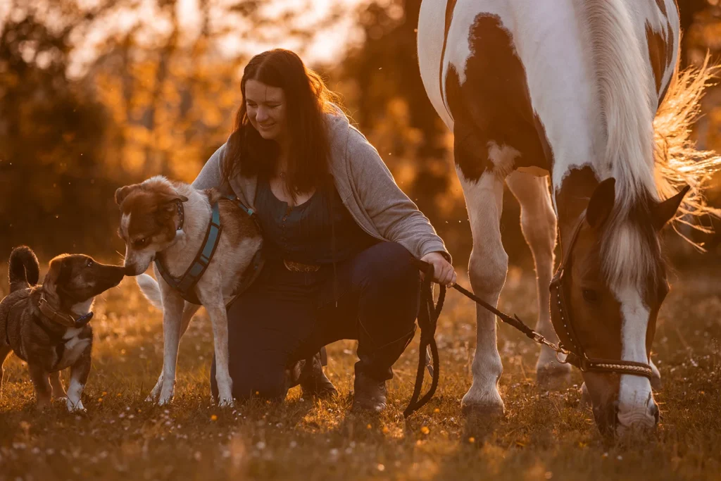 Familienfoto von einem Pferd, zwei Hunden und einer jungen Frau, sehr ausdrucksstark und naturnah, aufgenommen auf einer Weide im Ruhrgebiet (NRW) durch die Pferdefotografin Anne Bertling aus Ascheberg bei Münster im Münsterland.