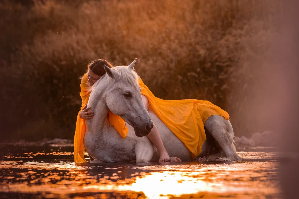 Inniges Foto von einem Schimmel und seiner Reiterin in gelben Kleid, liegend im Fluss im Sonnenuntergang, aufgenommen bei einem Pferdeshooting im Wasser in Olfen bei Münster (NRW) von der Pferdefotografin Anne Bertling aus Ascheberg im Münsterland, NRW.