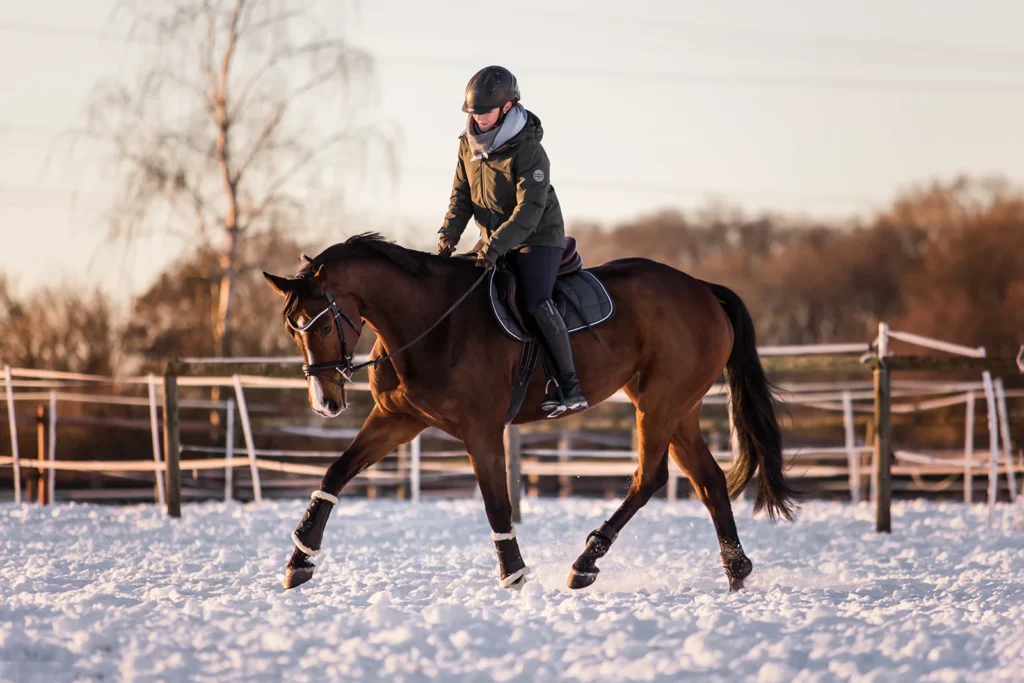 Foto von einem Warmblut Pferd mit seiner Reiterin aufgenommen bei einem Pferdeshooting im Schnee in Drensteinfurt bei Münster (NRW) von der Pferdefotografin Anne Bertling aus Ascheberg im Münsterland, NRW.