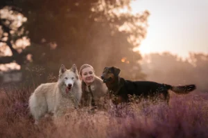 Eine Frau sitzt mit ihrem Husky und ihrem Mischlings Rüden in der blühenden Heide im Morgenlicht. Der Morgendunst macht die Stimmung mystisch und das Licht golden und weich. Fotografiert wurde das Mensch Hund Portrait von der Tierfotografin Anne Bertling in Haltern am See in der Westruper Heide im Münsterland.
