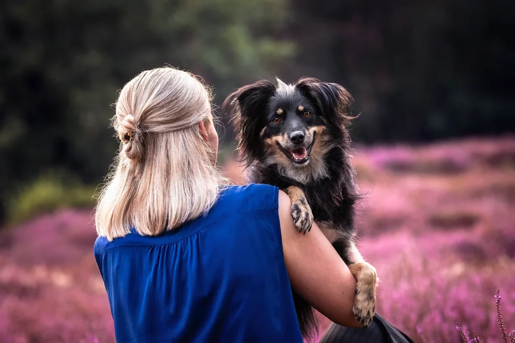Portrait von Frauchen und Hund. Der Hund sitzt bei der Frau auf dem Arm und schaut über ihre Schulter. Die Heide blüht im kräftigen Lila, der Hintergrund ist unscharf. Fotografiert wurden sie von der Hundefotogafin Anne Bertling in Coesfeld im Münsterland.